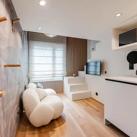 La Petite - T1 In Duplex In The Center * Annecy